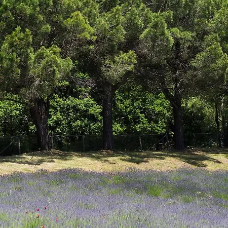 Sassi Bianchi Landhaus *