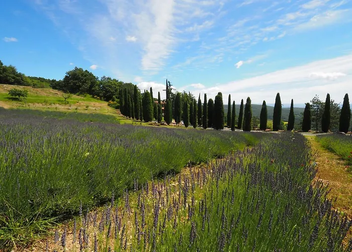 Gospodarstwo wiejskie Sassi Bianchi *