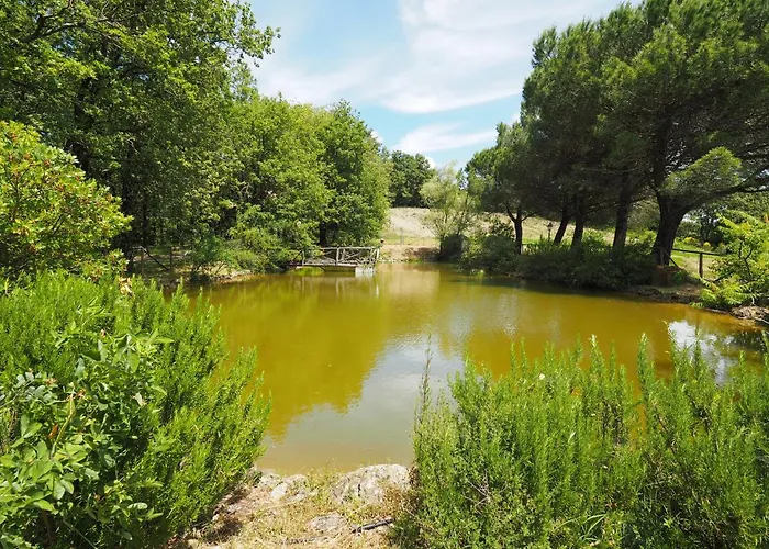 Sassi Bianchi * Sensano