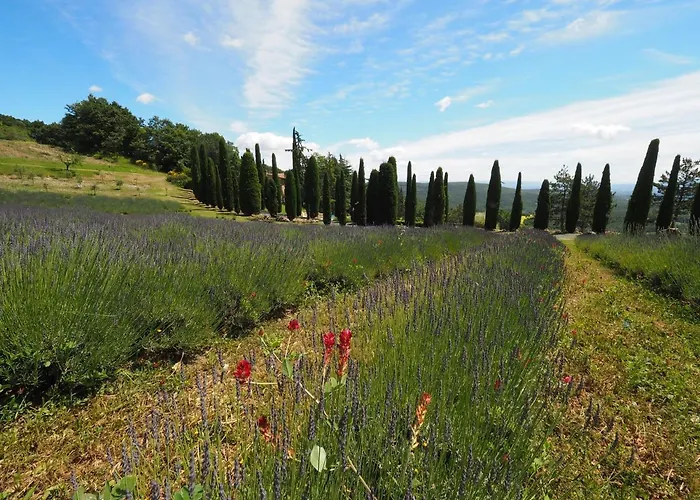 Sassi Bianchi Εξοχικό σπίτι