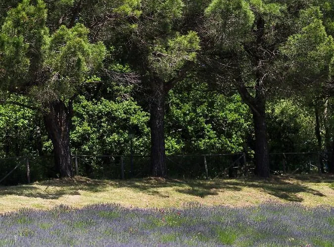 Sassi Bianchi Εξοχικό σπίτι *