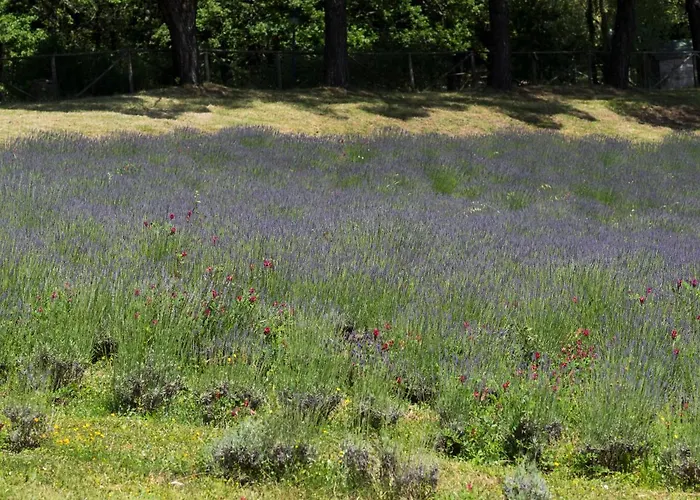 Gospodarstwo wiejskie Sassi Bianchi