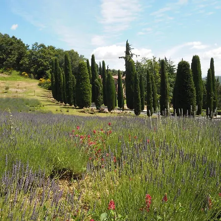 Sassi Bianchi Country house Sensano